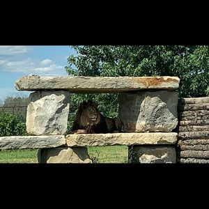 Meet your Posher, Devanshi